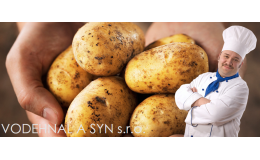 Chutné brambory pěstuje a dodává firma VODEHNAL A SYN.