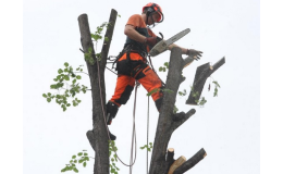 Výškové práce a rizikové kácení stromů