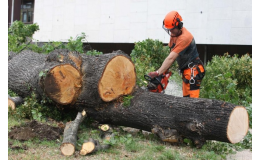 Výškové práce, rizikové kácení stromů i údržba zeleně