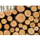 Jan Sečkař - zpracování dřeva a lesnické práce